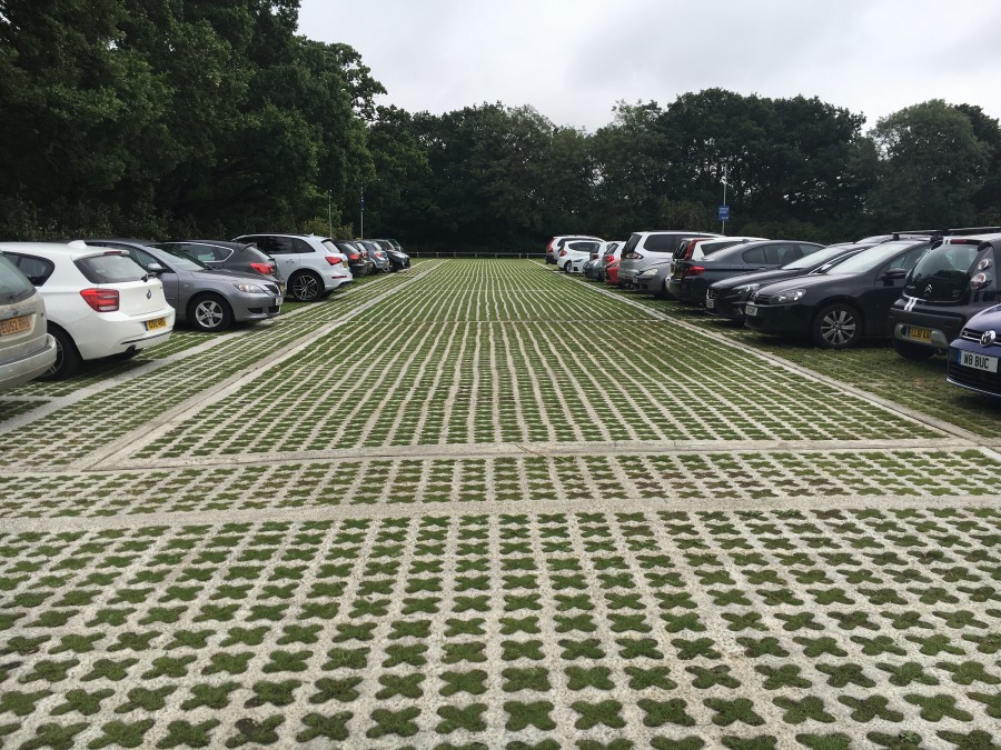 Sustainable Grass Paving | Specification Online