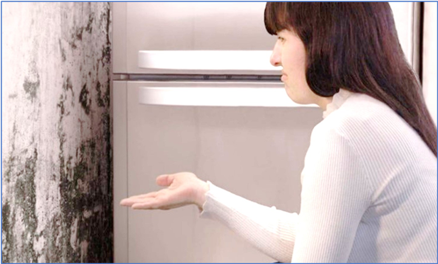 Damp, condensation, ventilation and mould training &ndash; with a difference&hellip;