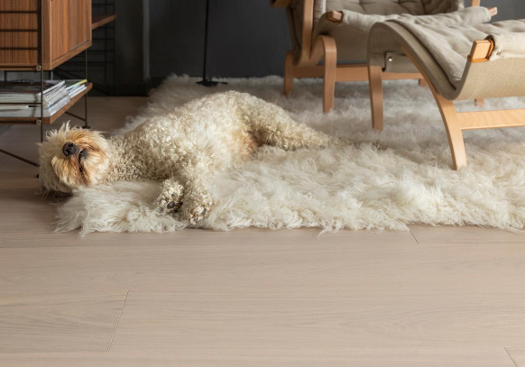 Floor Care
