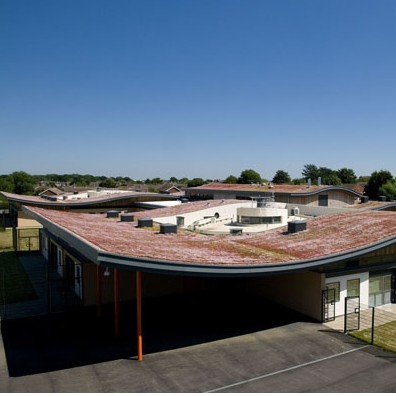 Tata Steel RoofDek provides innovative green roof solution at Maplefields School