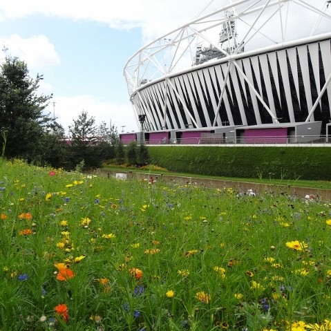 Acclaimed designer to oversee future of Olympic Park