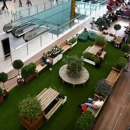 Pop up garden delights Heathrow passengers