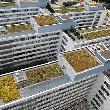 Optigreen launches Green Roof Partner Network