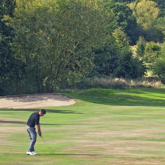 Green roof ready for London golf course