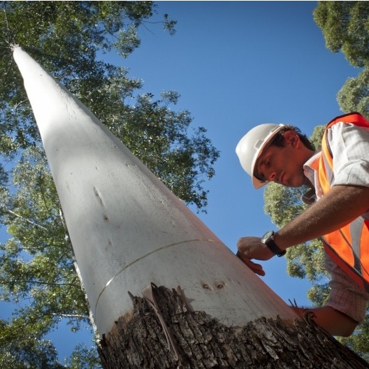 EUTR compliant timber from Timbmet