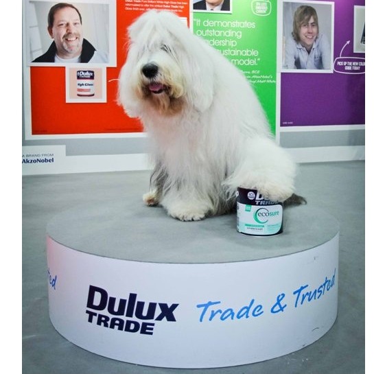 Dulux Trade to share best practice initiatives at Ecobuild 2013