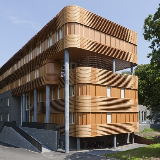 World leading Accoya wood rises to the challenge