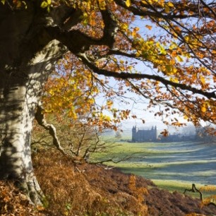 National Trust aims to generate 50% of energy from renewables