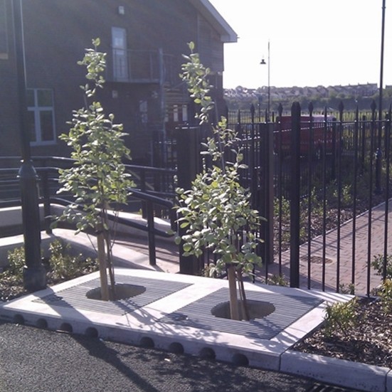 Town gets quality treatment with pioneering Hydro Filterra Bioretention System