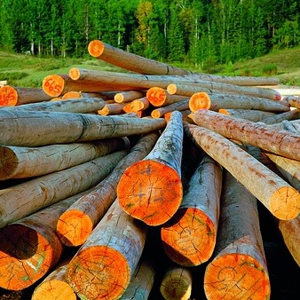 Help at hand for those stumped by new EU timber regulations