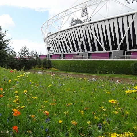Key Olympic structures set for BREEAM Excellent despite conversion challenges