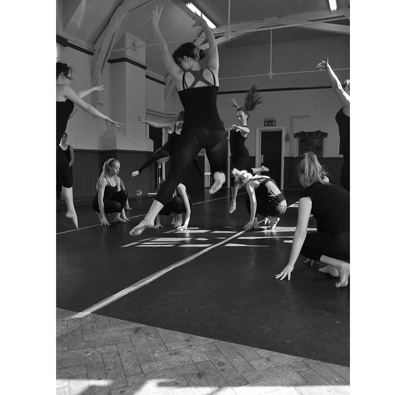 Harlequin Reversible turns back time for dance school
