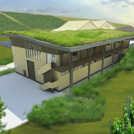 Desco embarks on innovative new winery project