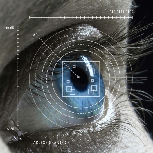 Seeing eye to eye with advanced iris-based biometric technology