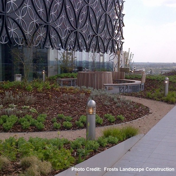 Boningale grows 10,000 plants for new Library of Birmingham