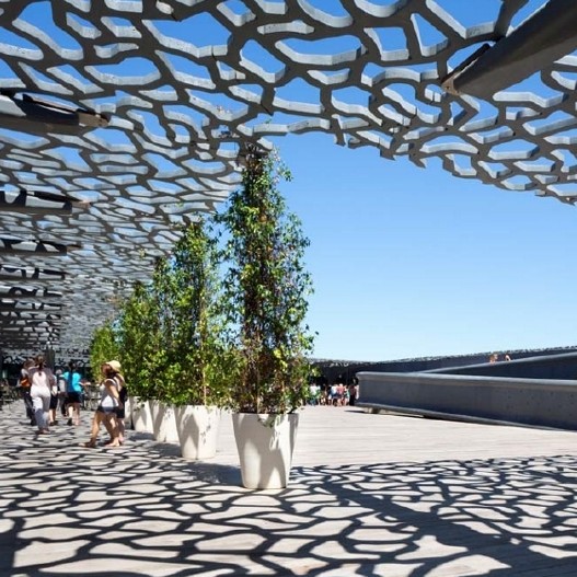 American heat treated ash sits pretty on the rooftop of flagship museum