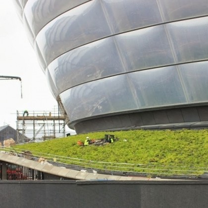 Scotbark complete work on green roof at new entertainment arena