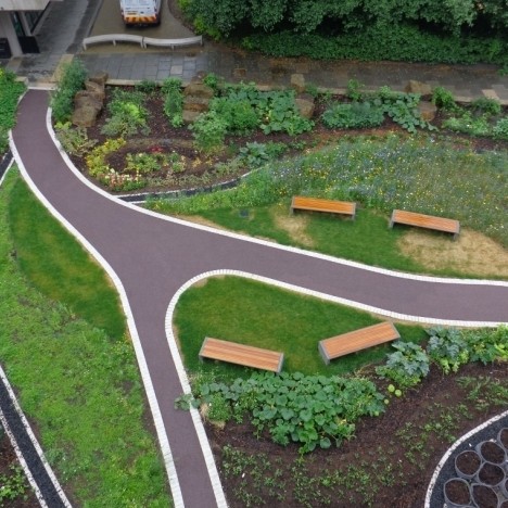 Green-tree roof garden substrate is the perfect solution for university