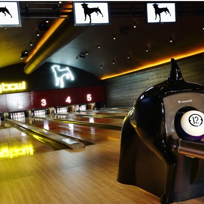 TRADITIONAL FLOORING UK AND GRANWAX SCORE A TEN-STRIKE  WITH DOG BOWL MANCHESTER