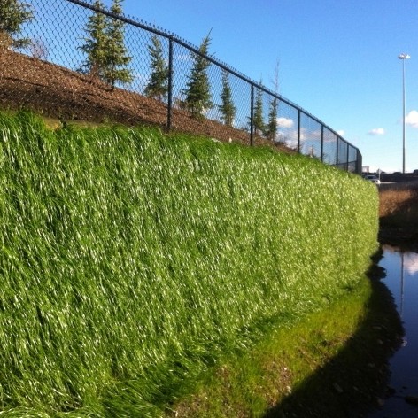 New Flex MSE vegetated wall system at Resilience 14