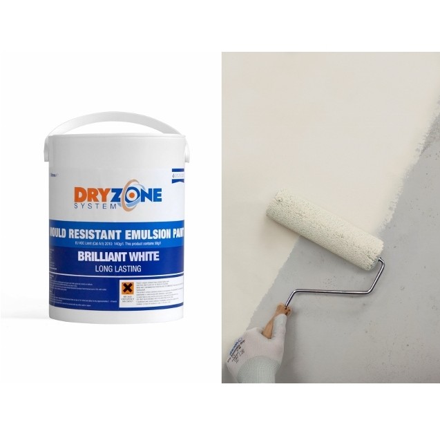 Keep black mould at bay with Safeguard Dryzone System paint