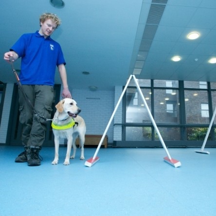 Polysafe Verona PUR flooring gets bark of approval at Guide Dogs Training School