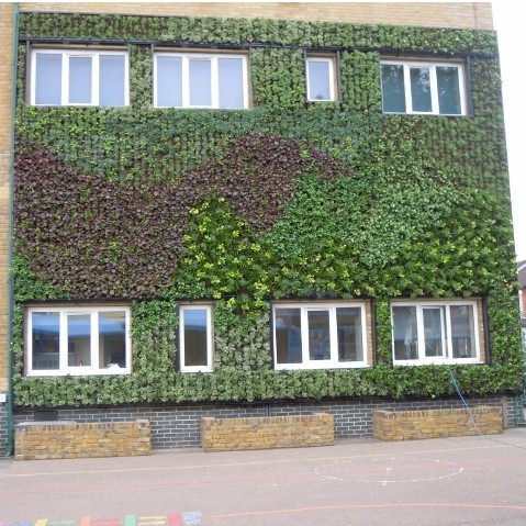 Living wall unveiled at school will improve air quality