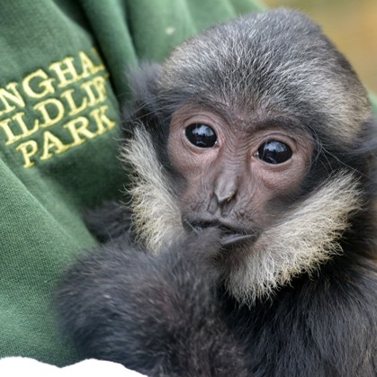 Wildlife Park Goes Green With Windhager Biomass System