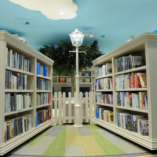 Interface helps create suburban-themed library for community