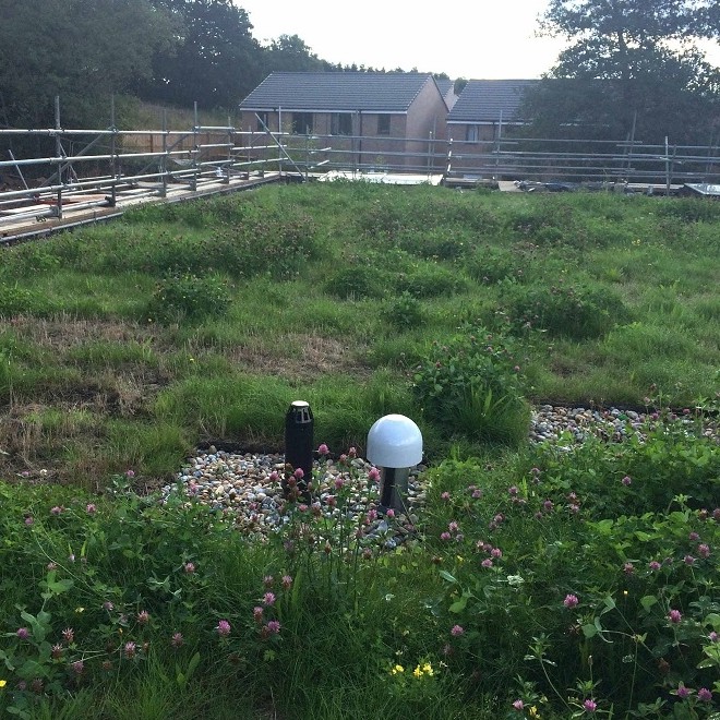 Sundolitt XPS provides strength and stability in sustainable green roof