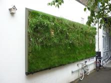 Living Wall Demonstration