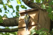 BARRY’S BID TO BRING BIODIVERSITY TO READYMIX PLANTS